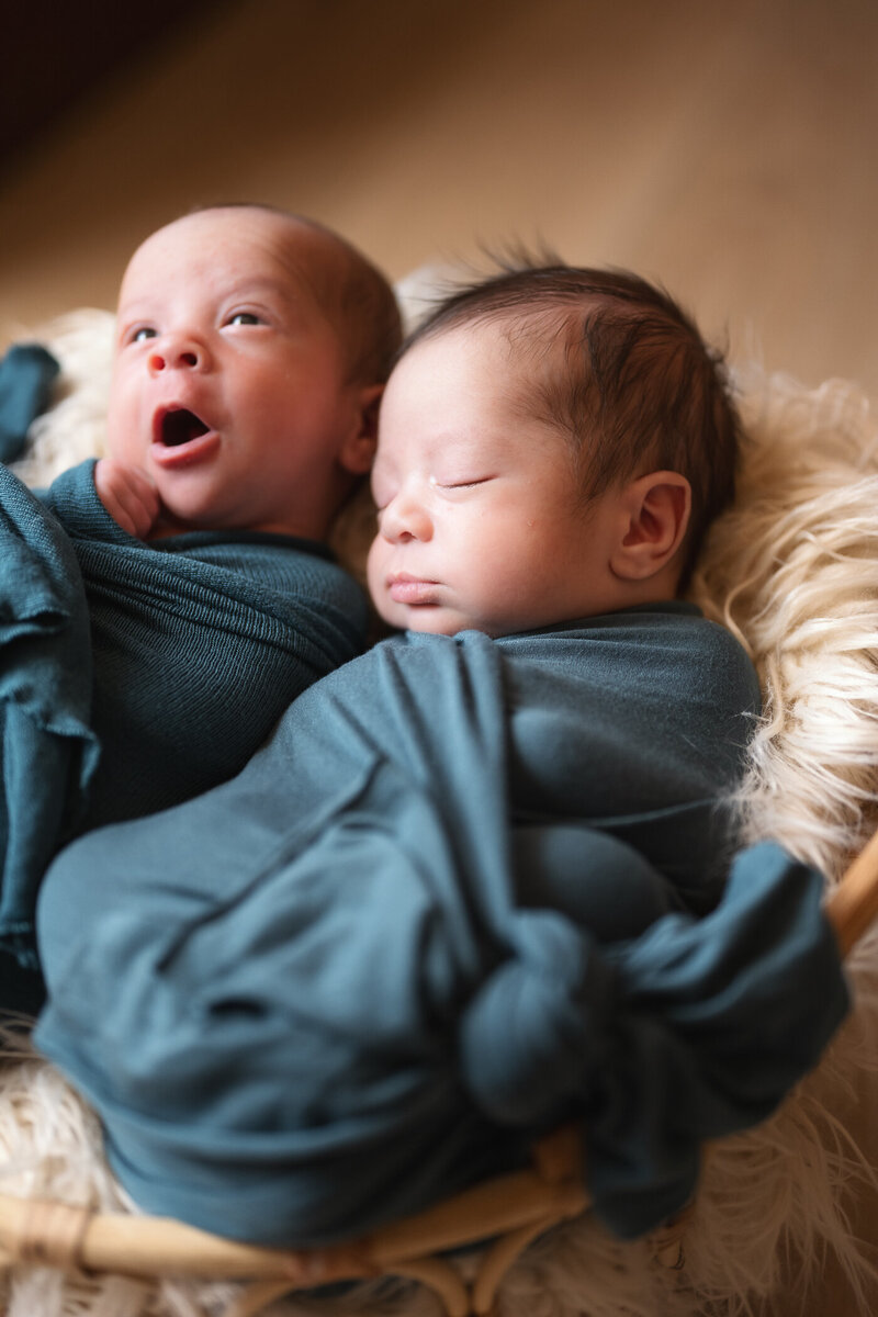 Lake Elsinore Newborn Photographer