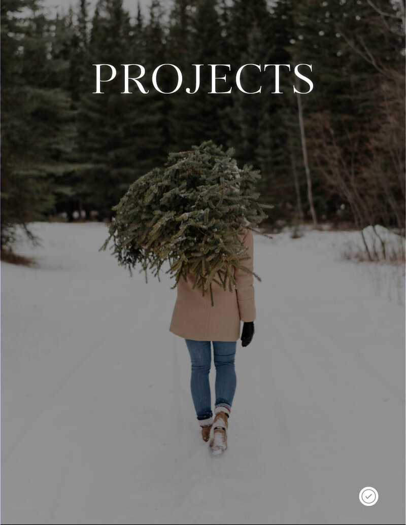 December Digital Planner by Click 2 Plan Digital Planners-8