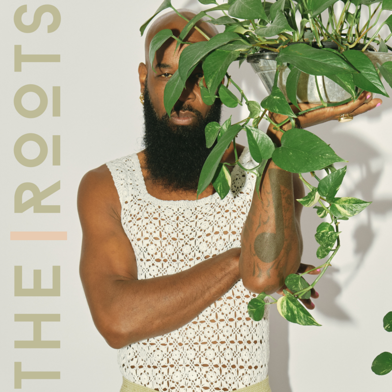 The Roots canva brand identity for a modern and earthy brand