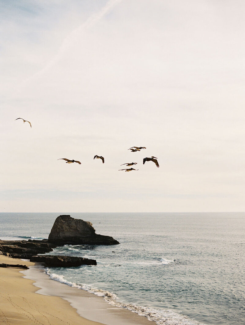 Santa Cruz Wedding - Autumn Marcelle Design x Ditto Dianto - Featured by MR (54)