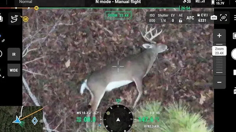 gallery-deer-shown-on-drone-screen