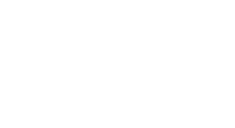 Bianca Nichole and Co logo white