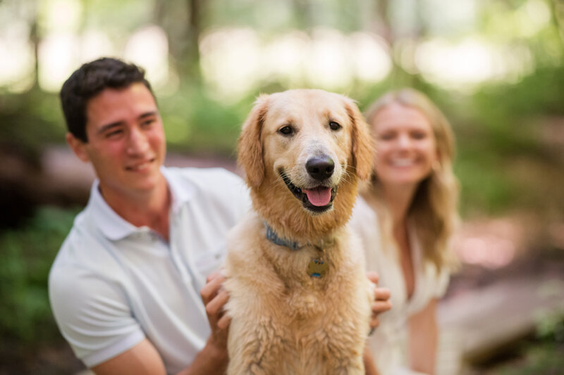 Couple with dog in berkshires massachusetts