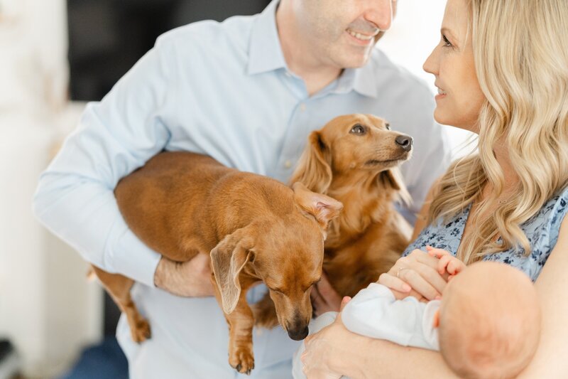 Nashville-newborn-photography-session-in-the-spring-dolly-delong-photography2024-05-21_0257