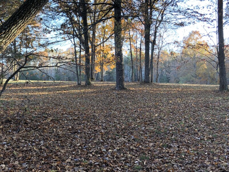 image_0001106