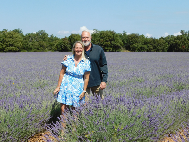 Lavendar Fields provence