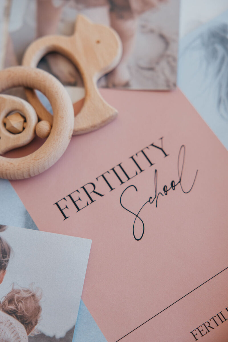 Fertility School - Fertility Course - Cycle Charting, Conceive Naturally | Fertility co.