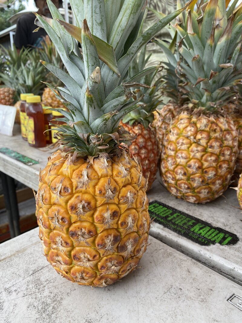 Sugarloaf pineapples
