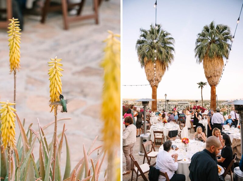 Palm Springs lgbtqia+ wedding photographer rhonda-119