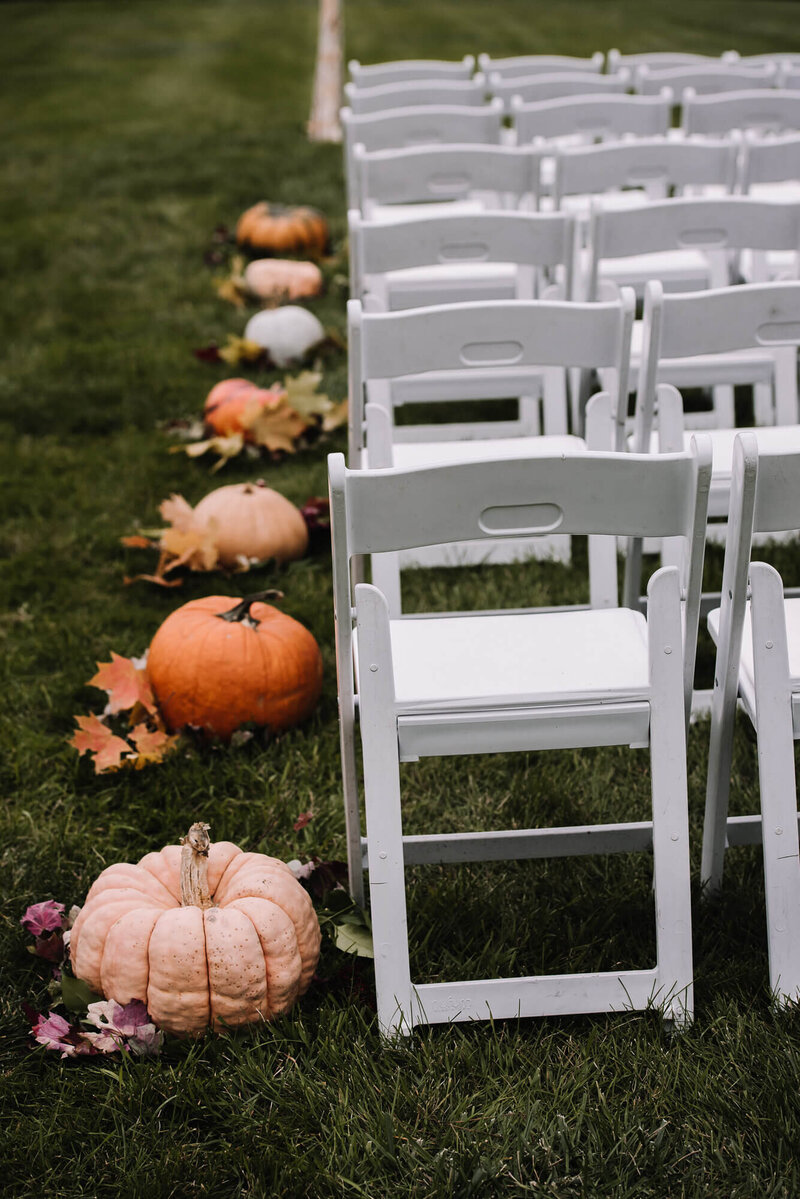 lawn_chairs