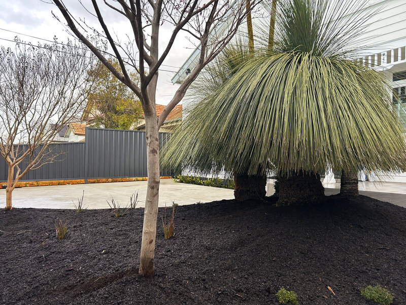 Erin_Street_Residential_Landscaping_06