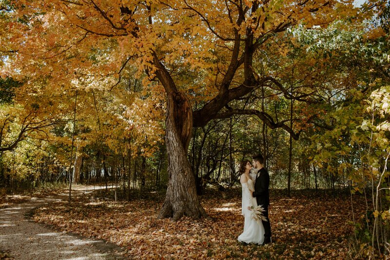 Married - Ellie + Joel-292
