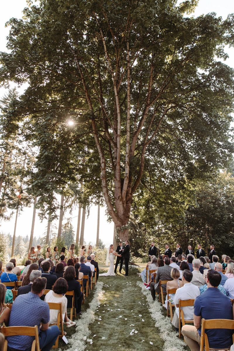 Ceremony held on family property under an old oak tree, with the sunsetting 