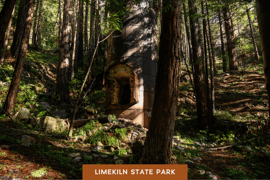 An old lime kiln stands among towering redwoods at Limekiln State Park, surrounded by lush greenery.