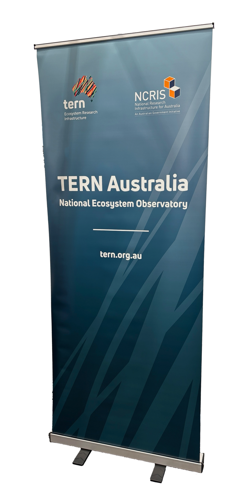 tern banner-bland