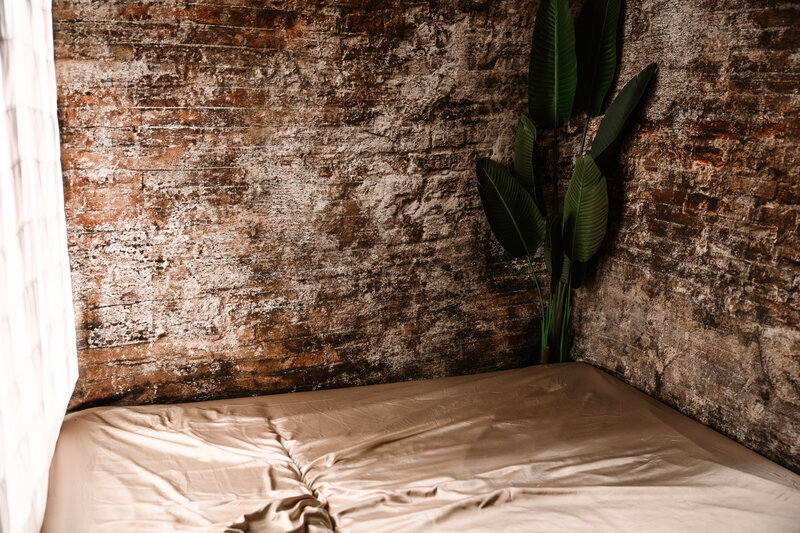 brick walls with champagne bed and window