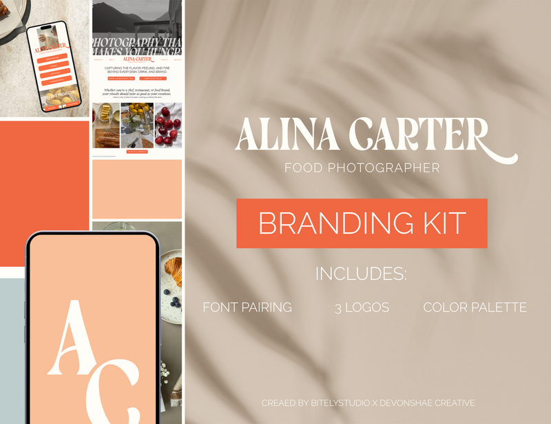 AlinaCarterSemiCustomBrandKit1