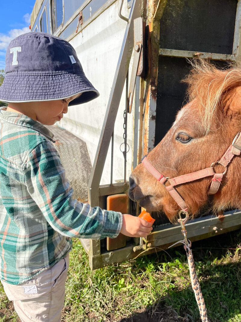 A young boy in a blue top, black pants and a cargo print hat brushing a dark brown horse