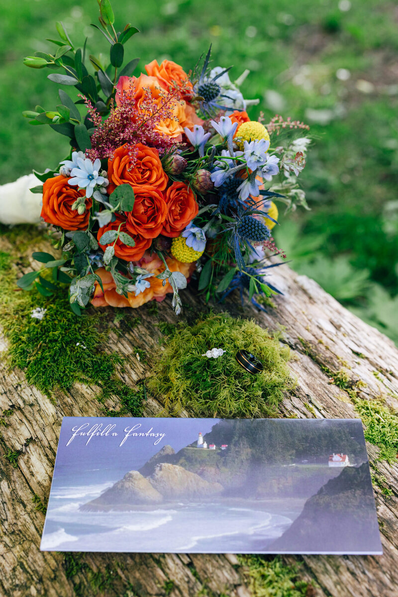 Heceta-Head-Elopement-Details