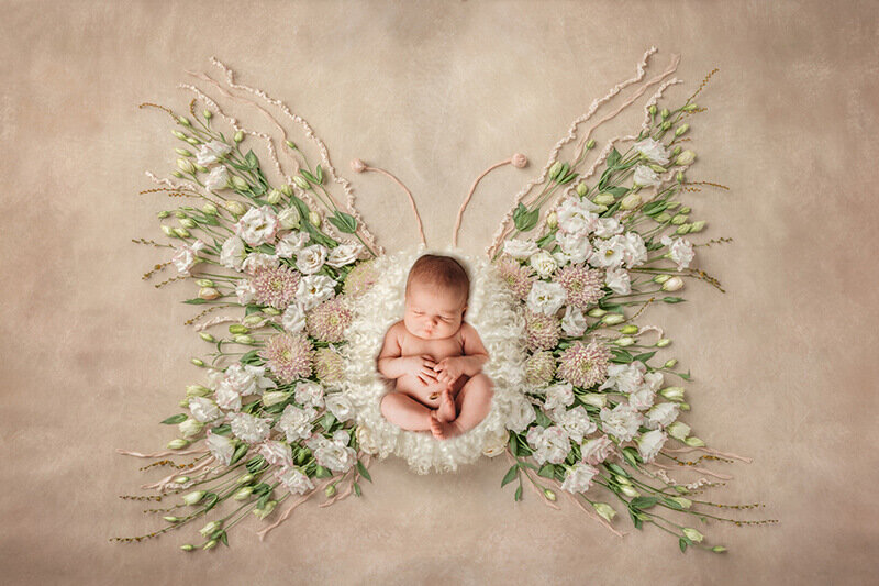 Newborn Baby posed for Newborn Photos in Asheville, NC.