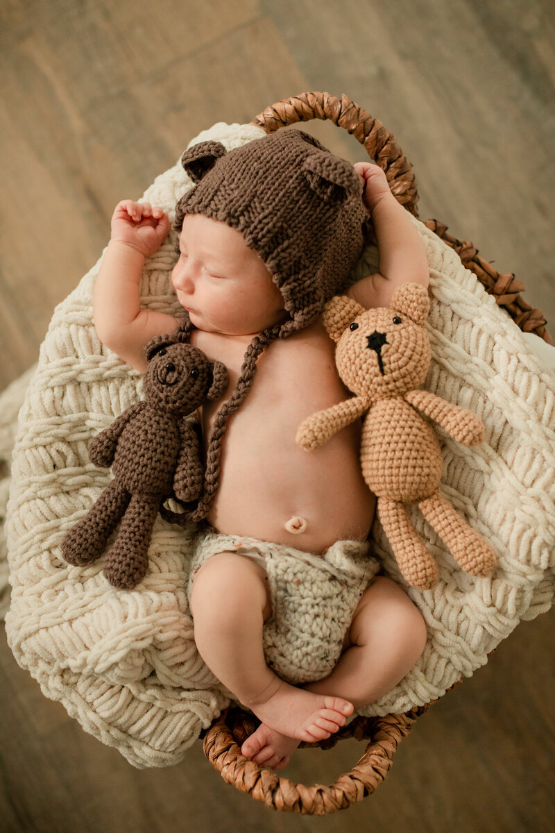 newborn baby in basket with teddy bears