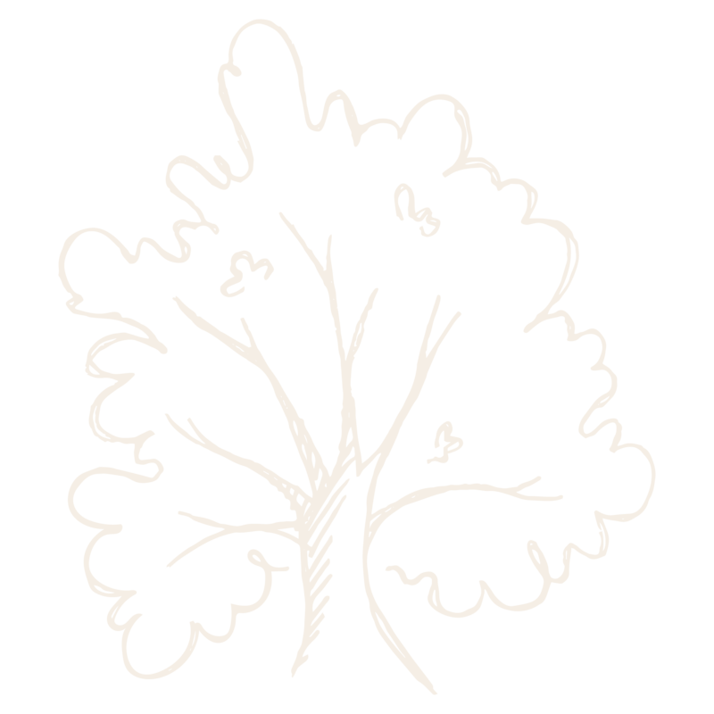 Oak tree icon