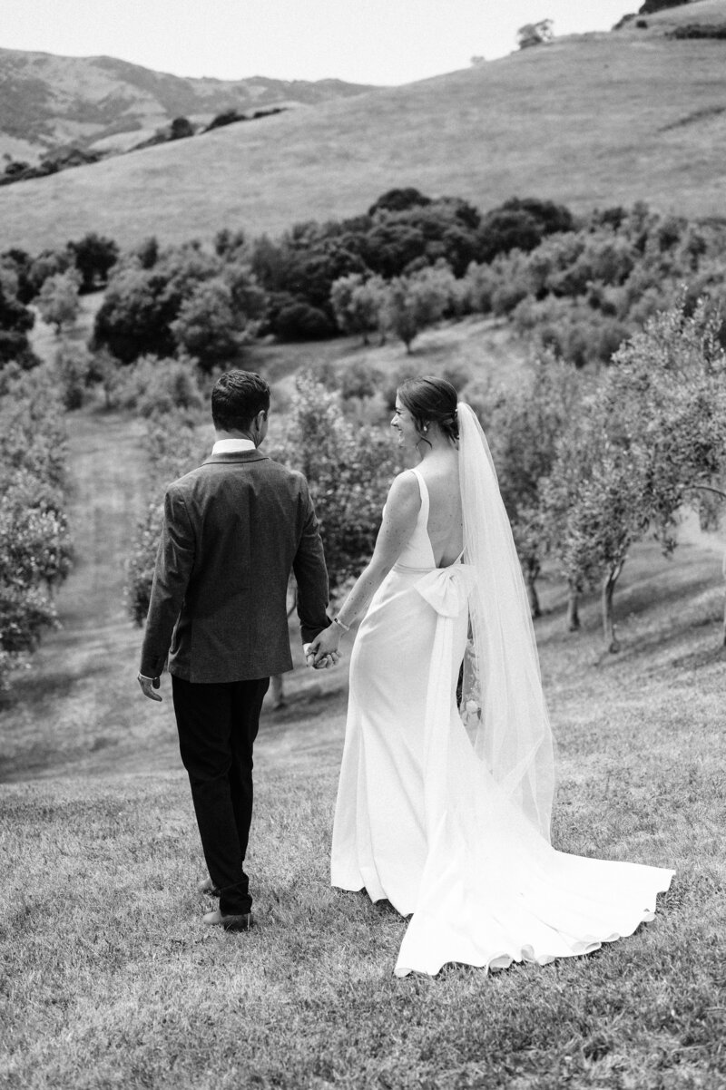black and white photo of bride and groom walking away through an akaroa wedding venue with olive trees