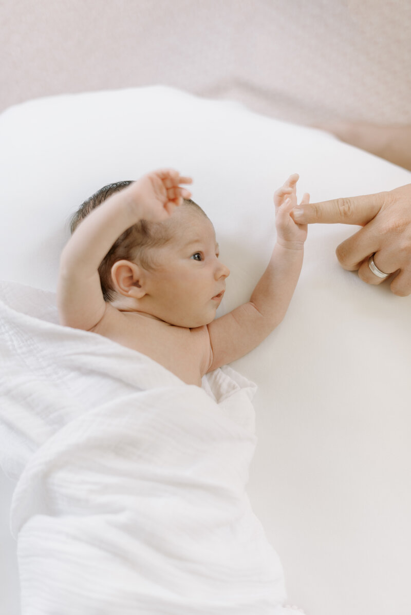 newborn baby portrait