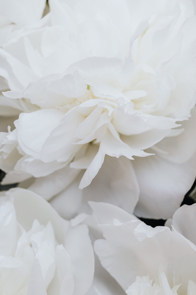 while flowers