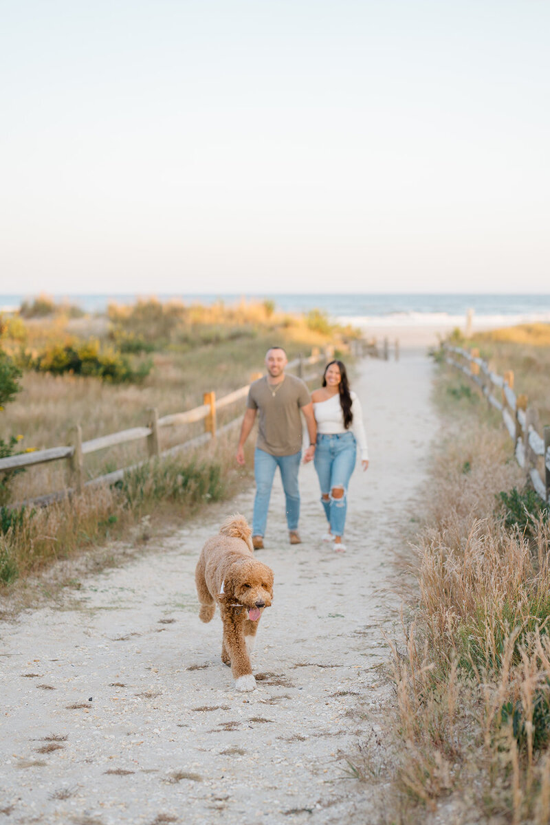 A couple and their dog walking on the beach in September in Avalon, New Jersey