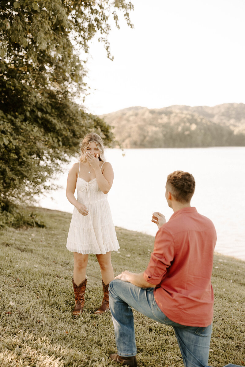 nashville photographer captures a surprise proposal