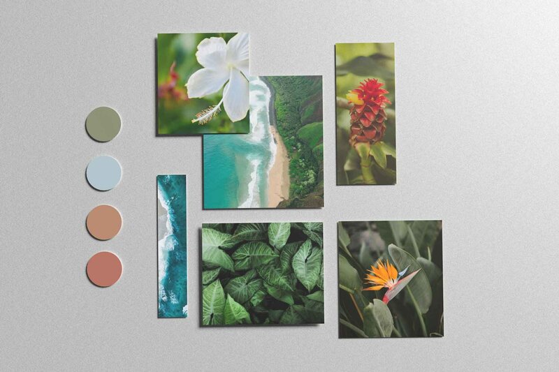 A moodboard with varying elements of tropical plants, the ocean, and colors of green, blue, red, and orange.