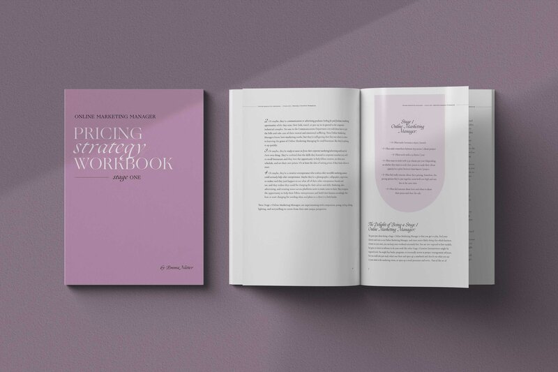 mock of the pricing strategy workbook, stage one. Purple colors. book open