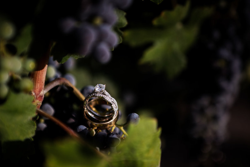 Wedding ring on a grape vine