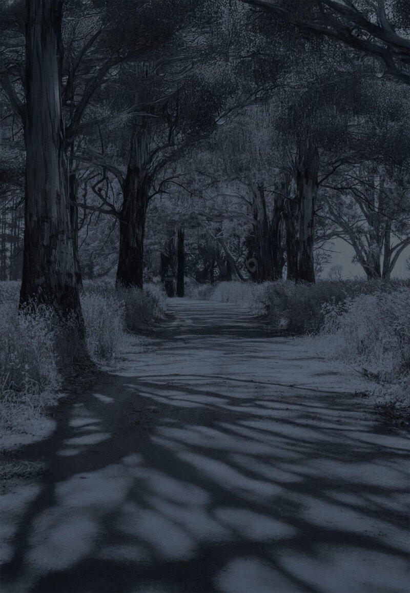 Black and grey trees with shady road background used for Caskets & Chrome funeral service branding in Perth.