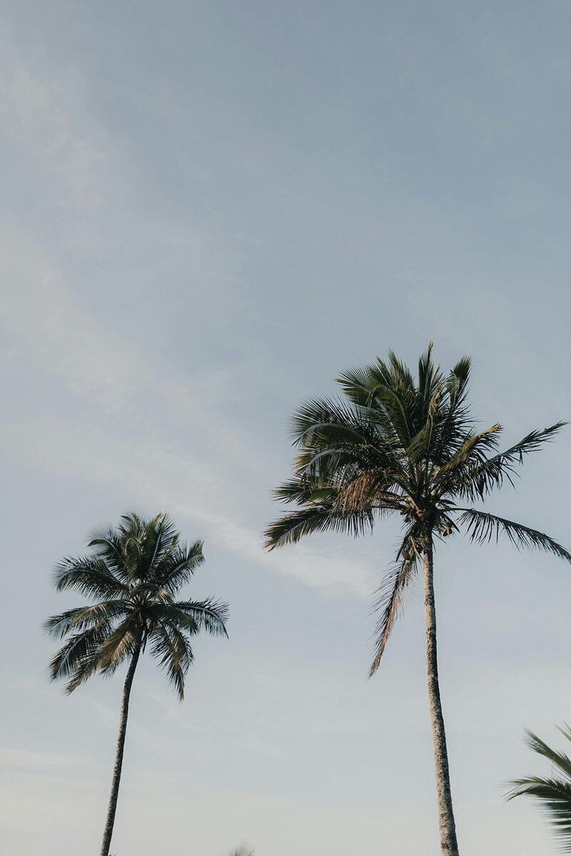 pexels-alexander-mass-748453803-32407531_websize