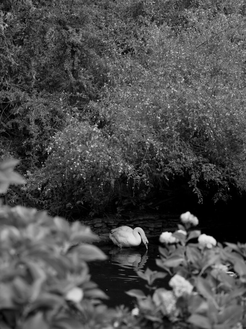 New Images_-23