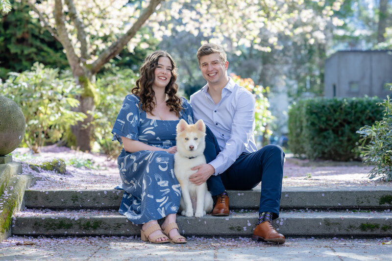 man and woman with puppy under cherry blossom trees at bellevue city park