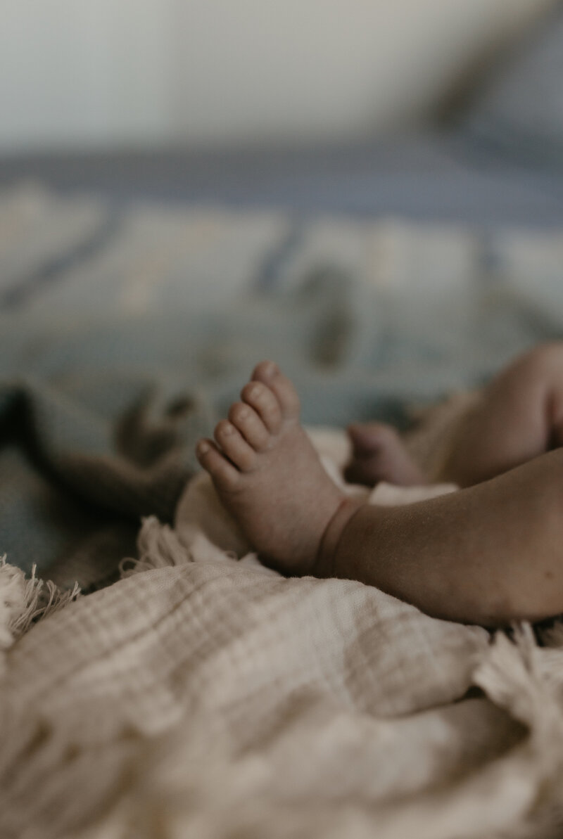 rex newborn6
