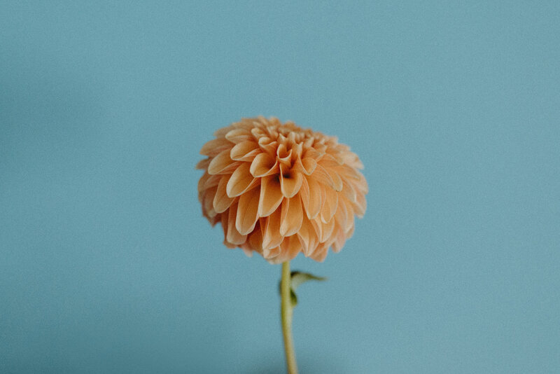 documentary wedding photographer