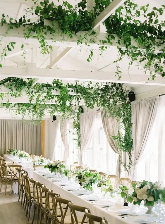 a-neutral-wedding-reception-spac-with-vines-climbing-up-to-the-beams-and-ceiling-that-take-over-the-whole-space-and-make-it-fresh