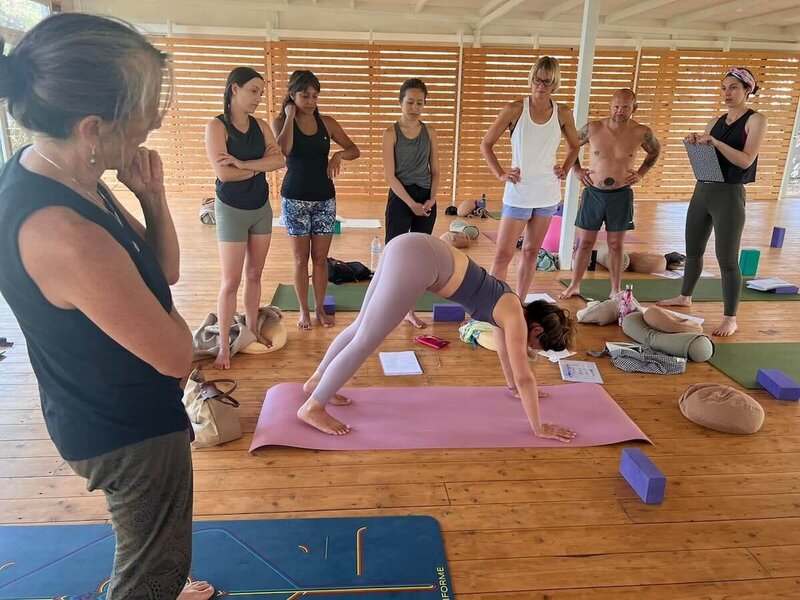 Learning foundational alignment principles for safe yoga practice.