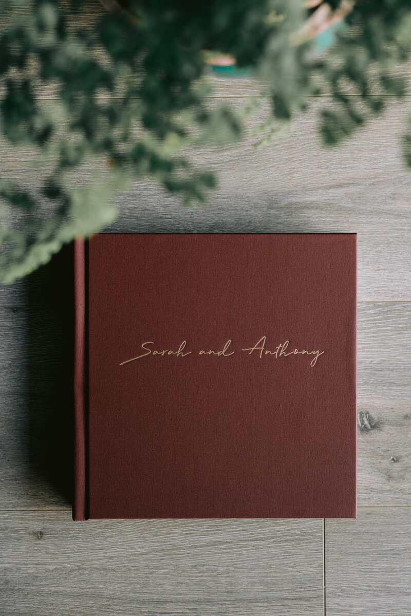 Fine Art Books - Sarah & Anthony-6