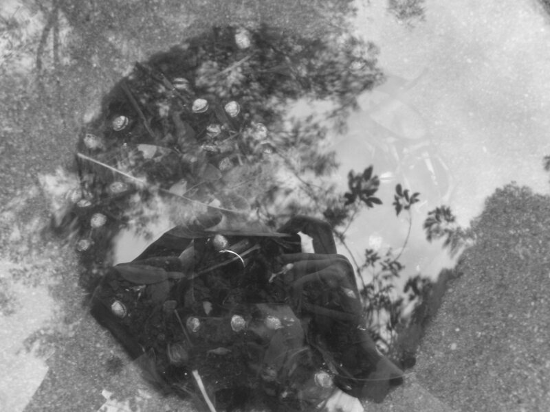 A black and white retro photo showing the reflection of hands holding a camera in a pool of water