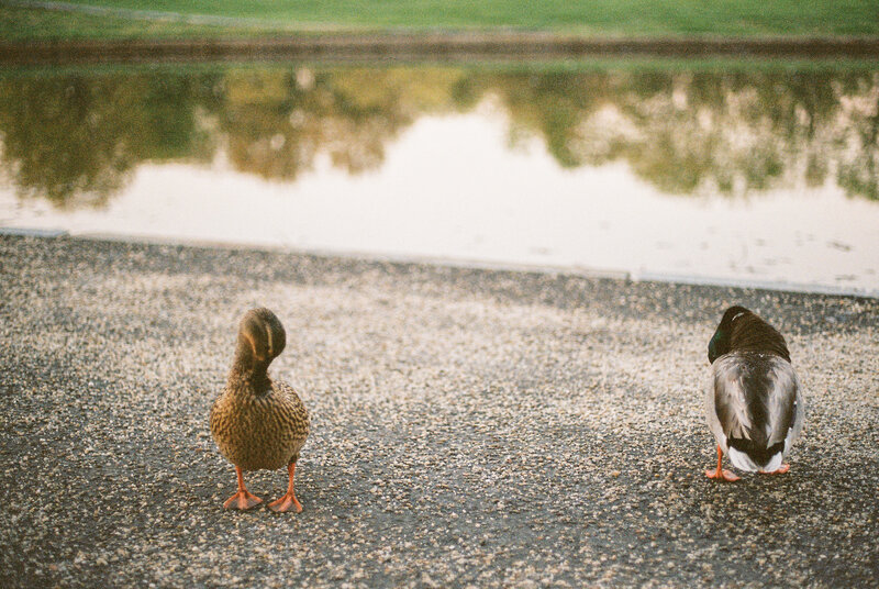 Washington-DC-Engagement-Session-on-35mm-Film-10