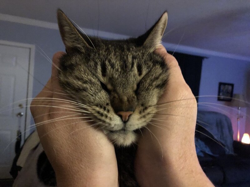 vader-squish