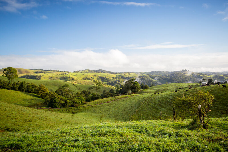 Acreage home design in Atherton by Watson Constructions FNQ