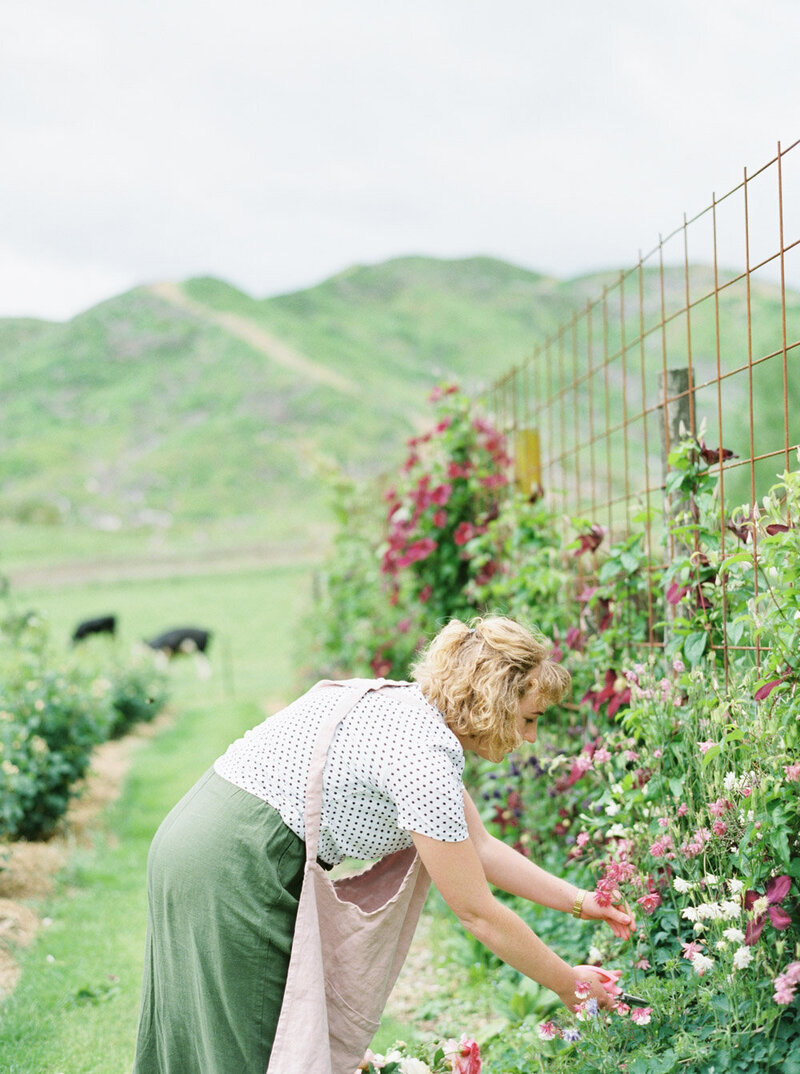 New Zealand Destination Wedding Photogrgapher Sheri McMahon - Queenstown Wedding Photographer-00037