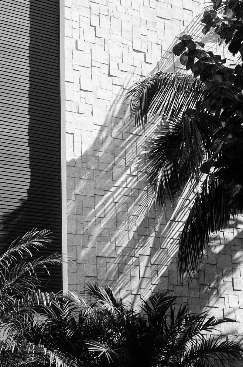 Resort tree on film