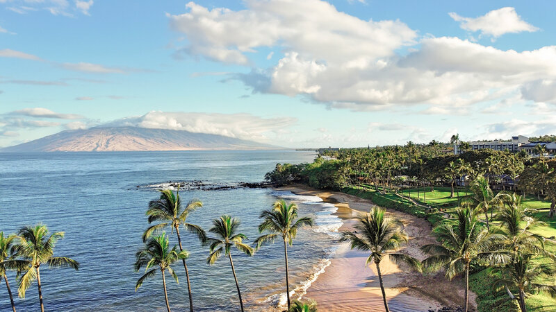A scenic view of a tropical beach with tall palm trees lining the sandy shore. The calm blue ocean stretches towards a distant landmass under a partly cloudy sky. Lush greenery surrounds the beach area.